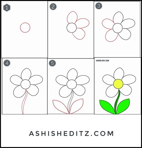 pencil drawings of flowers step by step|60+ Easy Flower Drawings with Step.
